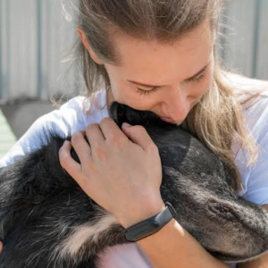 Guia PDF: Adopción responsable